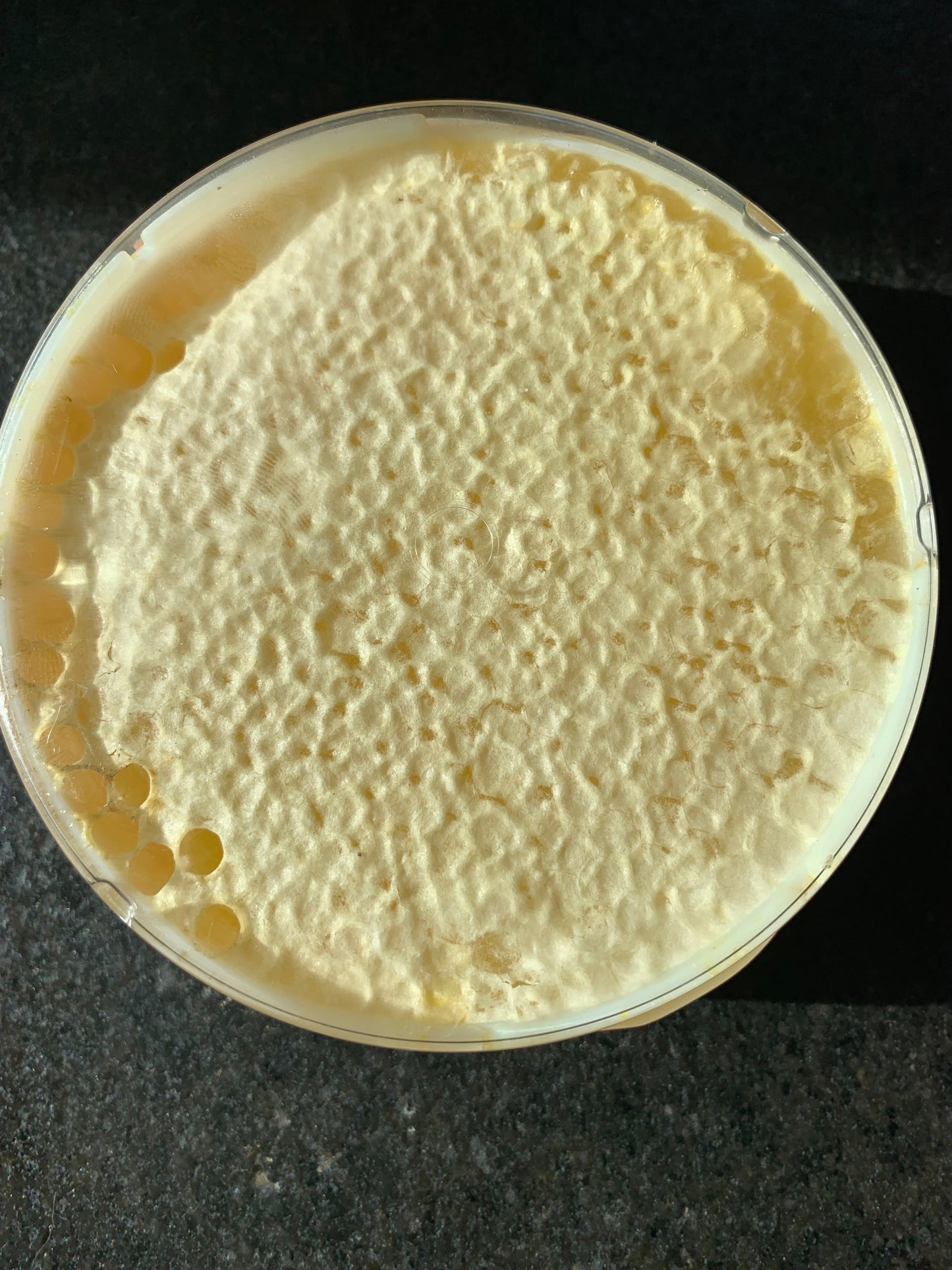 Natural Honeycomb Honey
